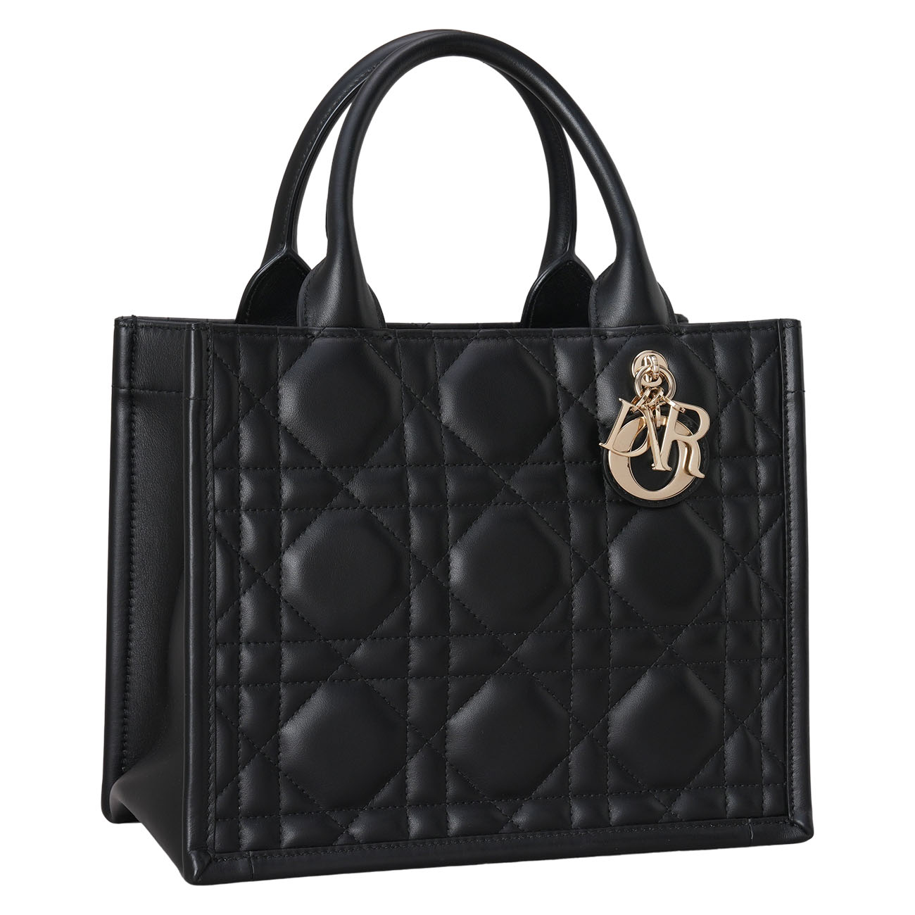 CHRISTIAN DIOR(USED)디올 레더 북토트 스몰